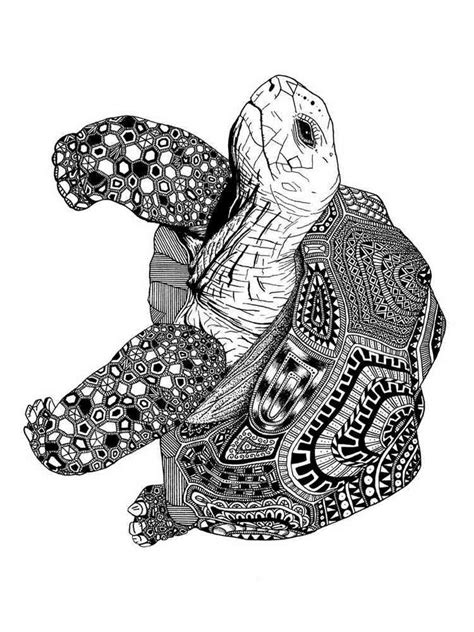 Zentangle Turtle Coloring Pages