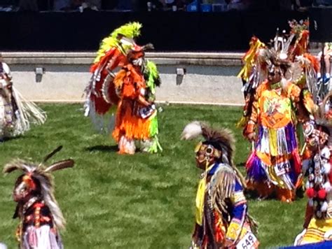 teri s world the 33rd annual plains indian museum powwow