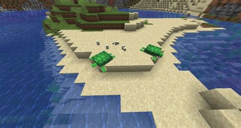 How To Hatch Turtle Eggs In Minecraft Nerd Lodge