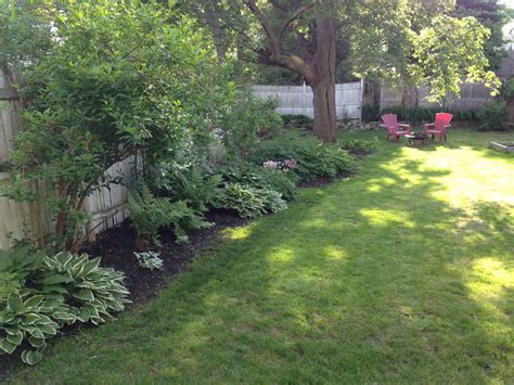 Some evergreen vines for covering chain link fences include: loft & cottage: a very unglamorous house project weekend