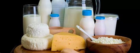 Milk Adulteration Different Types Of Milk Adulteration And How To Detect