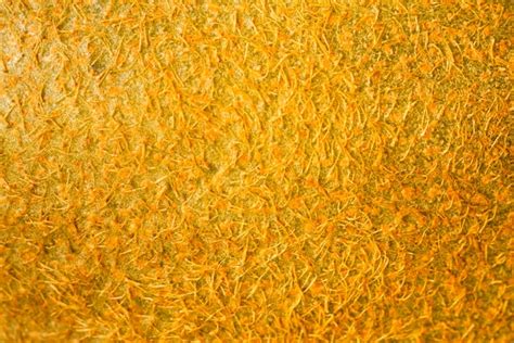 Free Photo Extreme Close Up Of Orange Peel