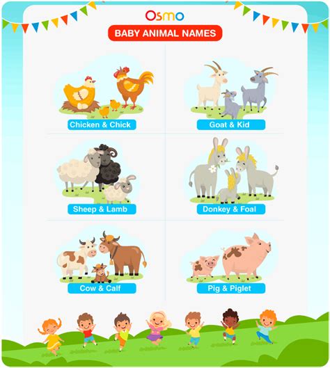 Baby Animal Names List Of All The Names Of Baby Animals