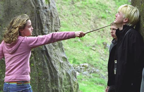 Hermione Grangers Wand Harry Potter Wiki