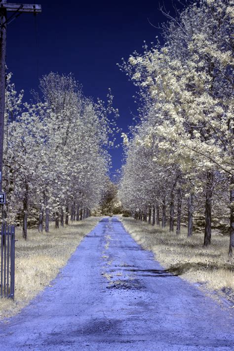 Infrared Photography: 35 Examples of Mysterious Pictures - Web3mantra