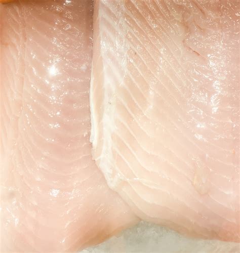 Rare Fresh Alaskan White King Salmon Fillet Wild Pure Food Fish Market