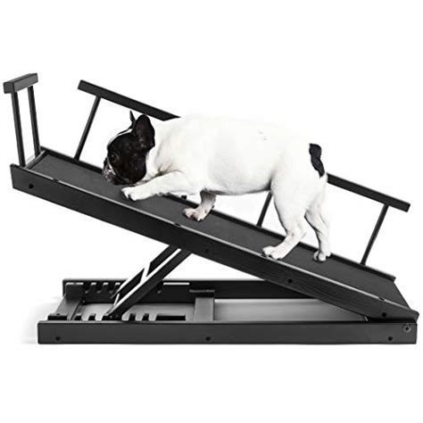Top 10 Dog Ramps For High Beds Of 2022 Savorysights