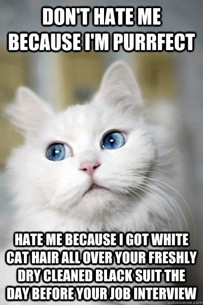 Dont Hate Me Because Im Purrfect Hate Me Because I Got White Cat Hair