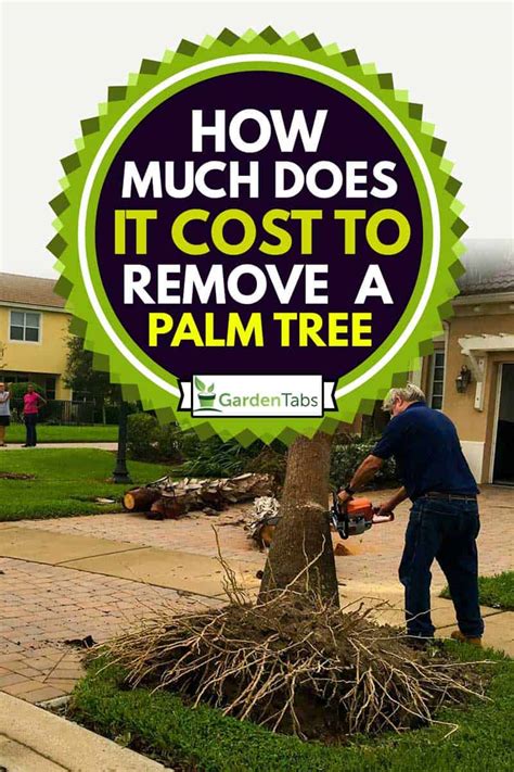 How much to trim a 50ft. How Much Does It Cost To Remove A Palm Tree? - Garden Tabs