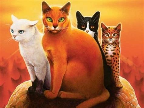 Anführer Warrior Cats Wiki Fandom