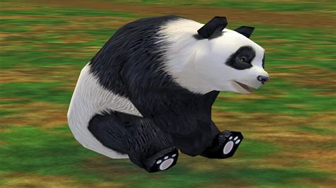 Giant Panda Zoo Tycoon 2 Wikia Fandom