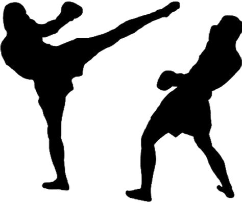 Mixed Martial Arts Mma Player Transparent Background Png Play