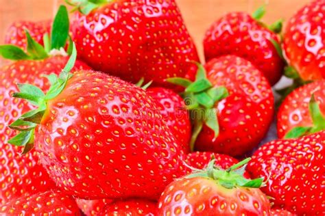Fresh Ripe Strawberries Stock Image Image Of Picked 40569339
