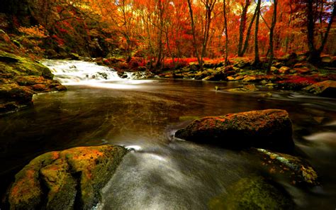 Autumn River Hd Wallpaper