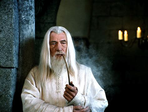 The Best Wizard Beards Of All Time Gq