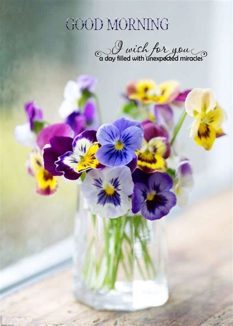 Pin By Johanna Vorster On Good Morning In 2020 Pansies Flowers