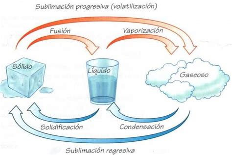 Solido Liquido Y Gas Pasos Science Projects Science Activities