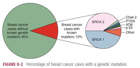 Breast Cancer Risk Factors Epomedicine