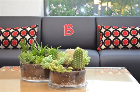 Two Potted Plants Sit On A Table In Front Of A Couch