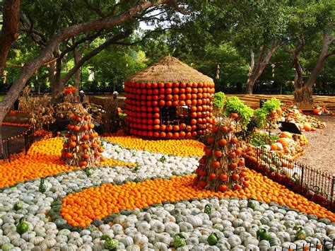 The Dallas Arboretum Arboretum Pumpkin Village Pumpkin Fall At The