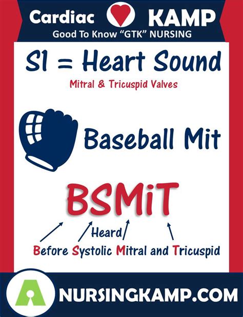 Heart Sound S1 Is Best Heard Before Systolic And The