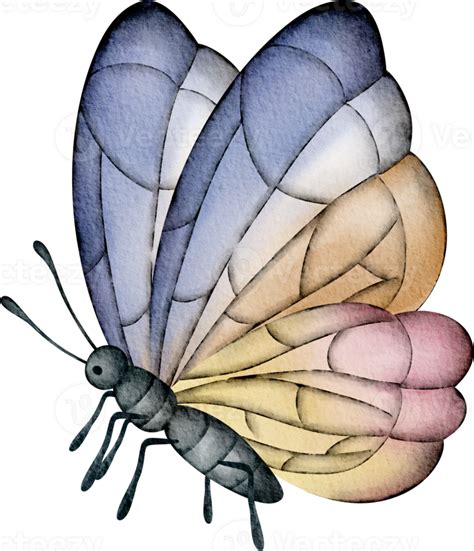 Watercolor Butterfly Clip Art 36909526 Png
