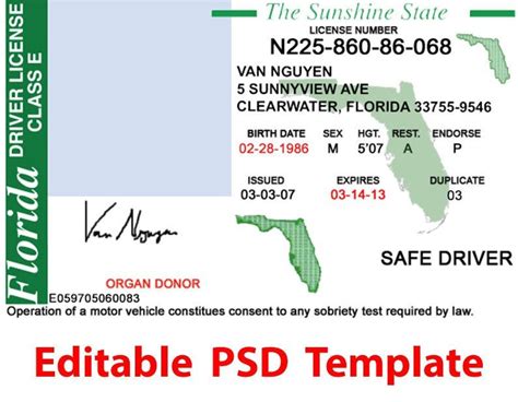 Florida Driver License Psd Template Editable Digital