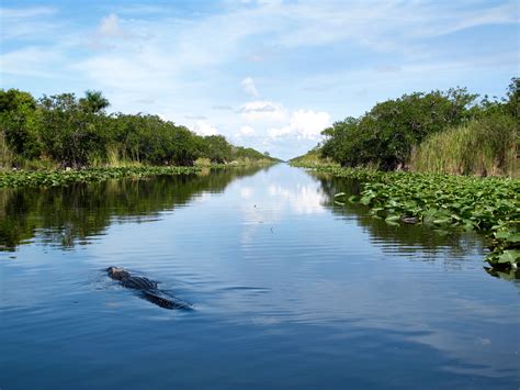 Exploring Everglades Holiday Park The Famous Gator Boys Aligator Show