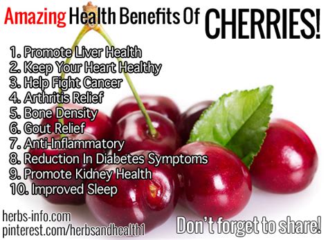Top 10 Amazing Health Benefits Of Cherries Herbs Info