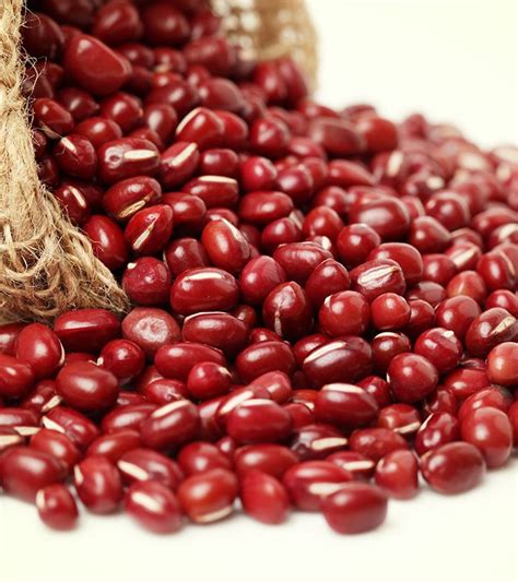 amazing health benefits of adzuki beans beans benefits health benefits bean varieties adzuki