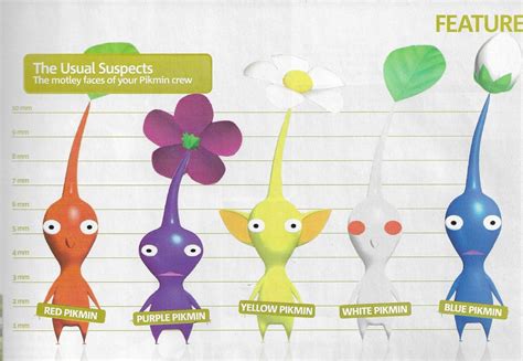 Partially Frequent Pikmin Facts On Twitter Rt Kevincharlesstu Based On