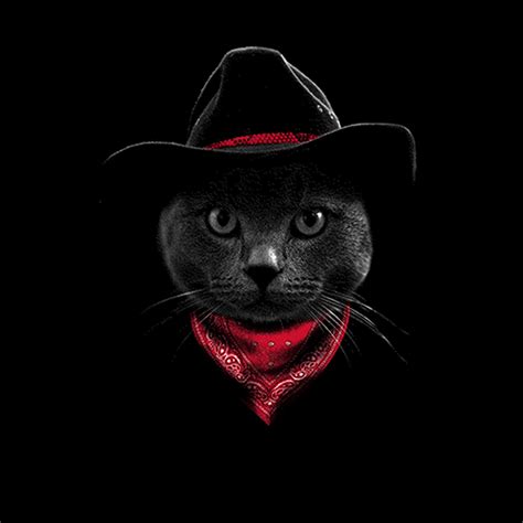 Cowboy Cat Hat Womens T Shirt Xs 3xl Ebay