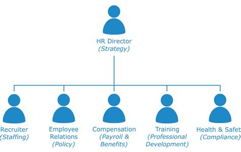 Organizational Structure In Hrm Learn Diagram