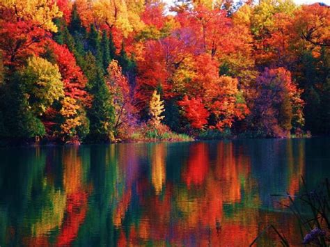 Fall Green Lakes In Syracuse New York