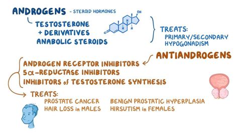 androgens and antiandrogens osmosis