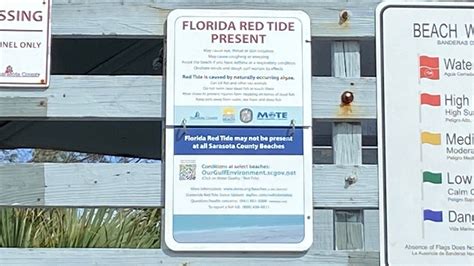 High Levels Of Red Tide Detected Near Sarasota Area Beaches Flipboard