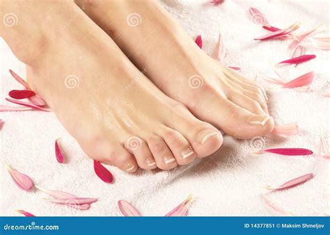 A Spa Composition Of Female Feet And Petals Stock Image Image Of