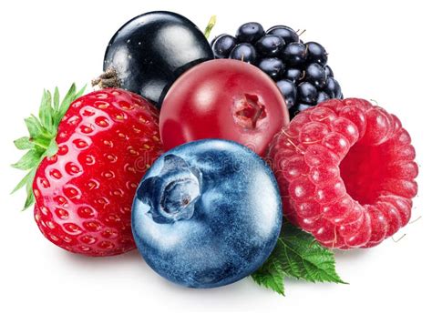 35798 Mixed Berries Stock Photos Free And Royalty Free Stock Photos