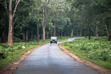 Nagarhole National Park 2023 Tiger Reserve Wildlife Sanctuary