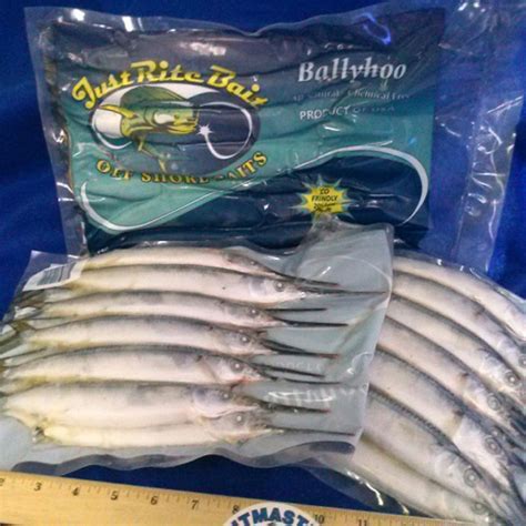 Premium Ballyhoo Aylesworths Fish And Bait