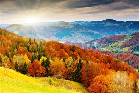 The Mountain Autumn Landscape With Colorful Forest Stock Image