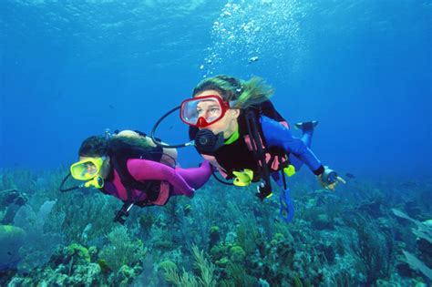 Best Dive Centers In Bali Where To Learn Scuba Diving In Bali Go Guides