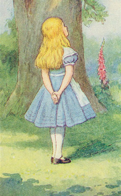 I don't much care where. the cheshire cat: Lewis Carroll Was Not on Drugs, and Other Surprising Facts ...