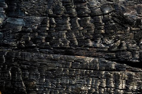 Close Up Of Charred Wood Stock Photo Dissolve