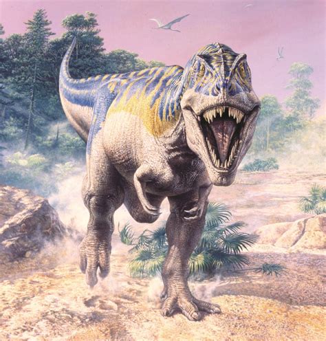 Profile Triceratops And Tyrannosaurus Rex 4th Grade North Dakota Studies