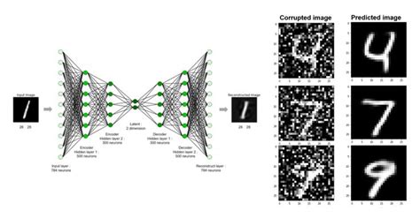 How To Use Autoencoders For Image Denoising Quick Tutorials With