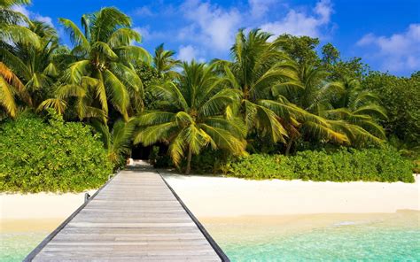 Океан пейзаж песок пальмы вода берег пляж Природа Обои для рабочего стола