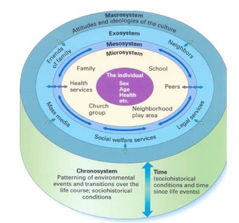 The ecological system theory consists of multiple levels; 4 Bronfenbrenner's Bioecological Model | Download ...