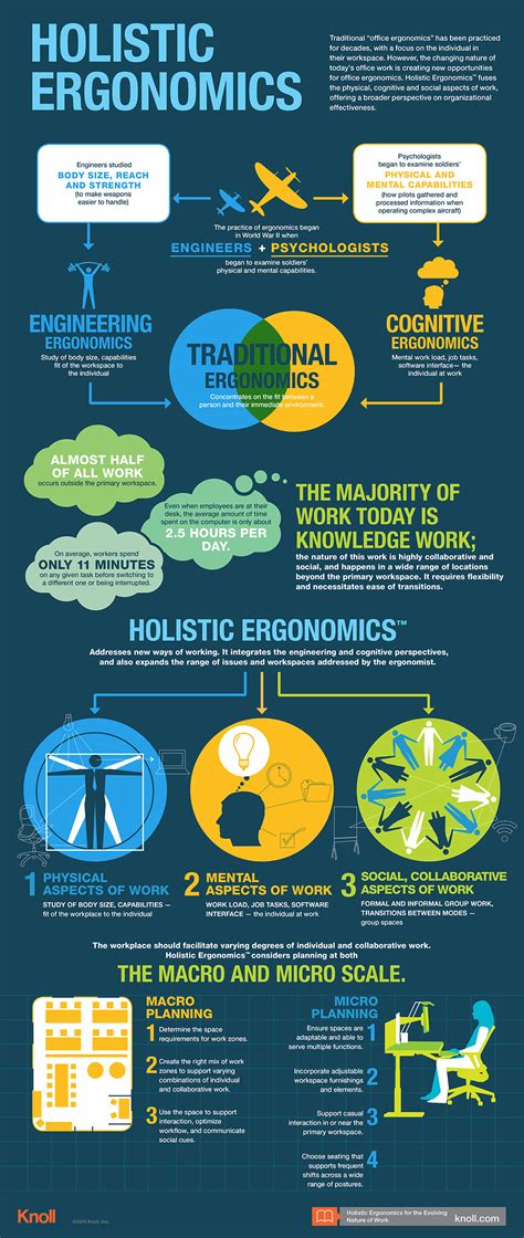 Holistic Ergonomics Infographic Workplace Research Resources Knoll