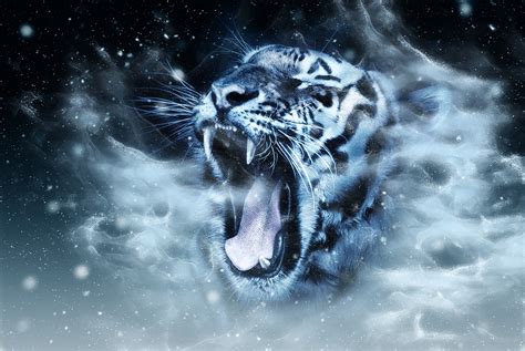 Tiger Head Wildlife · Free Image On Pixabay